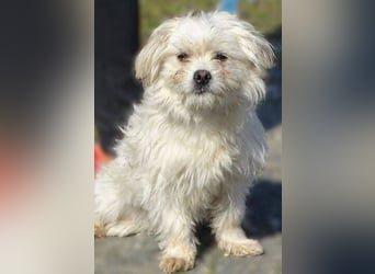 MIMMI die kleine hat große Angst