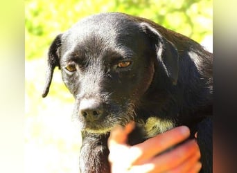 MONA sitzt in einem trostlosen Shelter