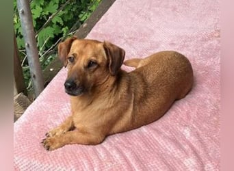 PASHA ist ein kleiner Schatz