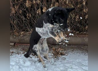 MIA ist eine Frohnatur