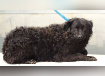 ZARA 2 zittert um ihr Leben