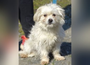 MIMMI die kleine hat große Angst