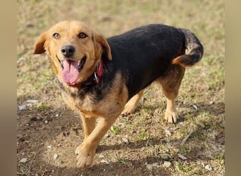 NICKY ist eine absolute Bereicherung