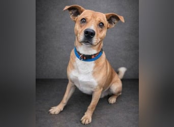 WINSTON ist ein herziger Kerl