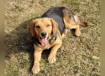 NICKY ist eine absolute Bereicherung