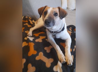 MIRKA liebt streicheln