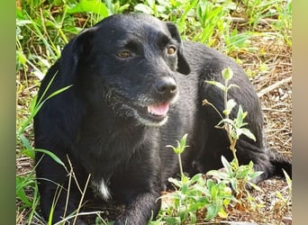 MONA ist ein Goldschatz