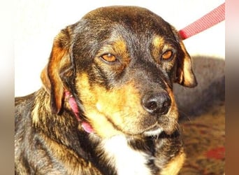 BOOGIE ist so niedlich