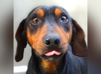 JACK braucht Lebensretter