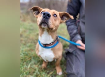 WINSTON ist ein herziger Kerl