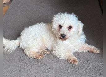 SNOW wurde herzlos entsorgt