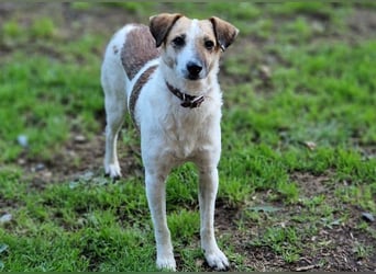 MIRKA liebt streicheln