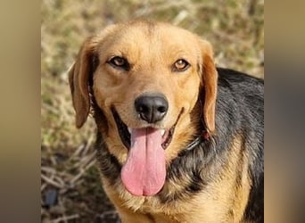 NICKY ist eine absolute Bereicherung