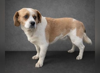 BODRI ist eine ganz sanfte Seele