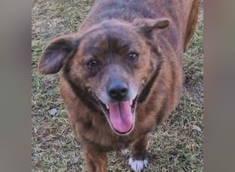 HOLLY ist zuckersüß und lieb