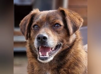 HOLLY ist zuckersüß und lieb