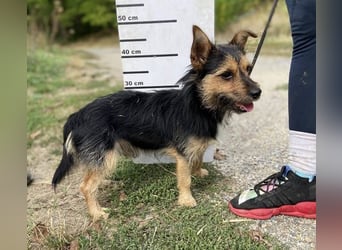 RAGNAR wurde erbarmungslos ausgesetzt