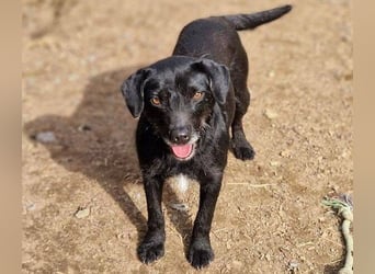 MONA ist ein Goldschatz