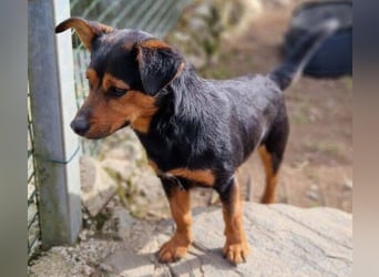 FLOCKY ist der Liebling aller