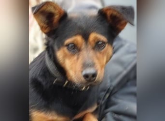 FLOCKY ist der Liebling aller