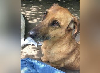 PASHA ist ein kleiner Schatz