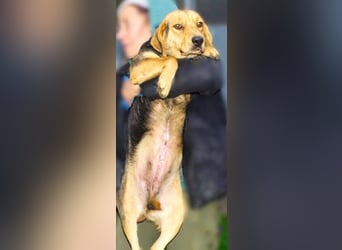 NICKY ist eine absolute Bereicherung