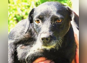 MONA ist ein Goldschatz