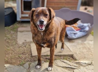 HOLLY ist zuckersüß und lieb