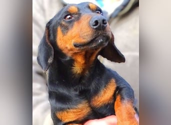 JACK braucht Lebensretter