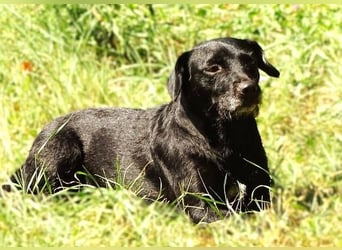 MONA sitzt in einem trostlosen Shelter