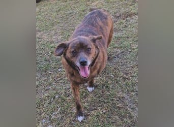 HOLLY ist zuckersüß und lieb