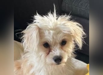CINDY ist ein Sonnenschein