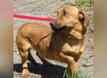 PASHA ist ein kleiner Schatz