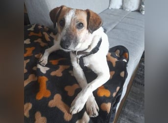 MIRKA liebt streicheln