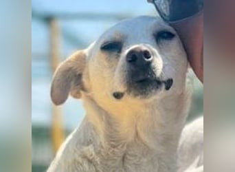 SUNNY wem darf sie ihr Herz schenken