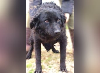 ZARA 2 zittert um ihr Leben