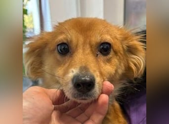 TESSY schwebt in Lebensgefahr TESSY schwebt in Lebensgefahr