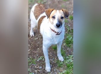 MIRKA liebt streicheln