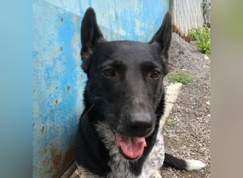 MIA ist eine Frohnatur