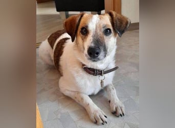 MIRKA liebt streicheln