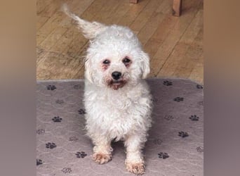 SNOW wurde herzlos entsorgt