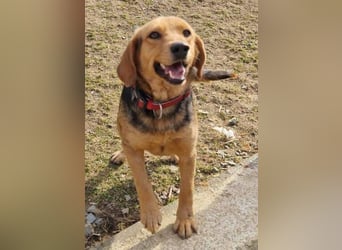 NICKY ist eine absolute Bereicherung