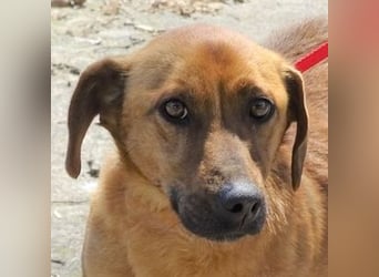 PASHA ist ein kleiner Schatz