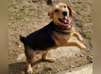 NICKY ist eine absolute Bereicherung