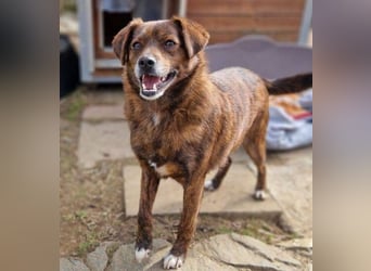 HOLLY ist zuckersüß und lieb