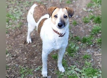 MIRKA liebt streicheln