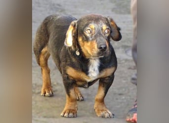 BOOGIE ist so niedlich