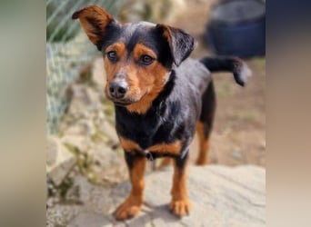 FLOCKY ist der Liebling aller