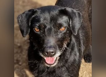 MONA ist ein Goldschatz