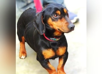 JACK braucht Lebensretter